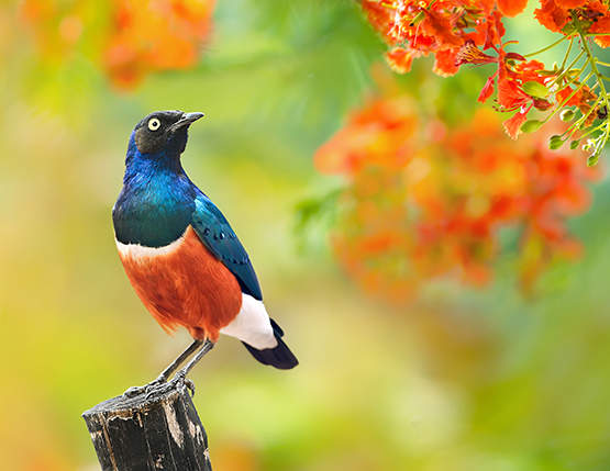 sue hsu's photo